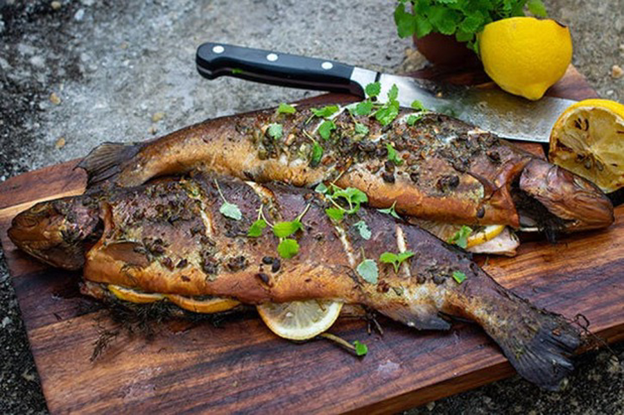 طرز تهیه طوطی ماهی با روش‌های آسان و جذاب